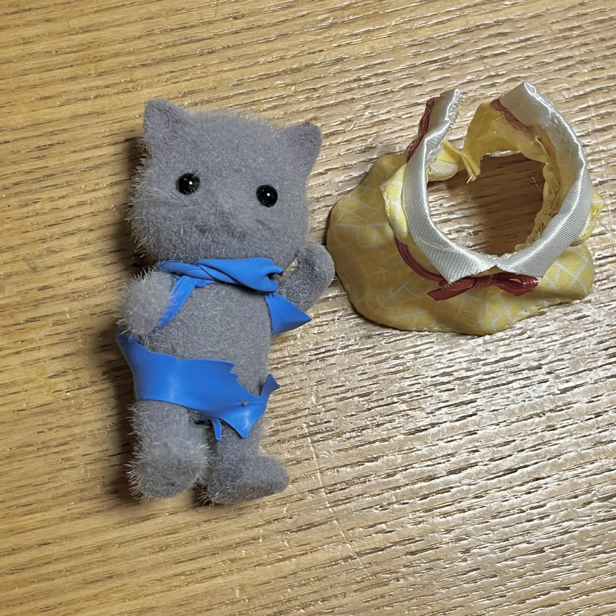 arisesatoki's tweet photo. 風呂から出たら、うちのペルシャネコの女の子がHOT LIMITになっていた https://t.co/amjxiednjf