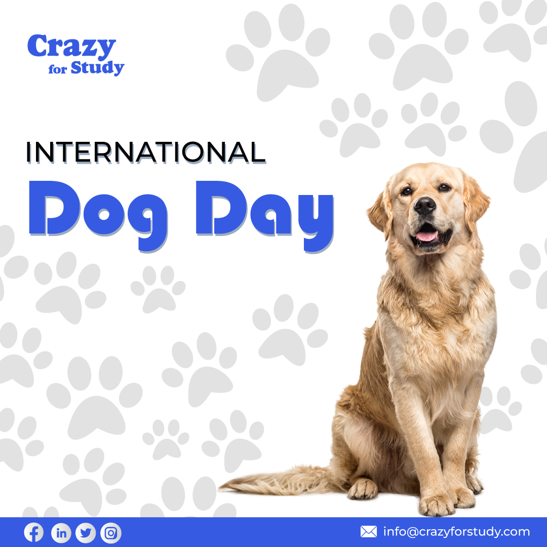 CrazyForStudy1's tweet photo. Fall in love with a dog, and in many ways you enter a new orbit, a universe that features not just new colors but new rituals, new rules, a new way of experiencing attachment.
#internationaldogday #fridaymonday https://t.co/Pbh5CviWBd