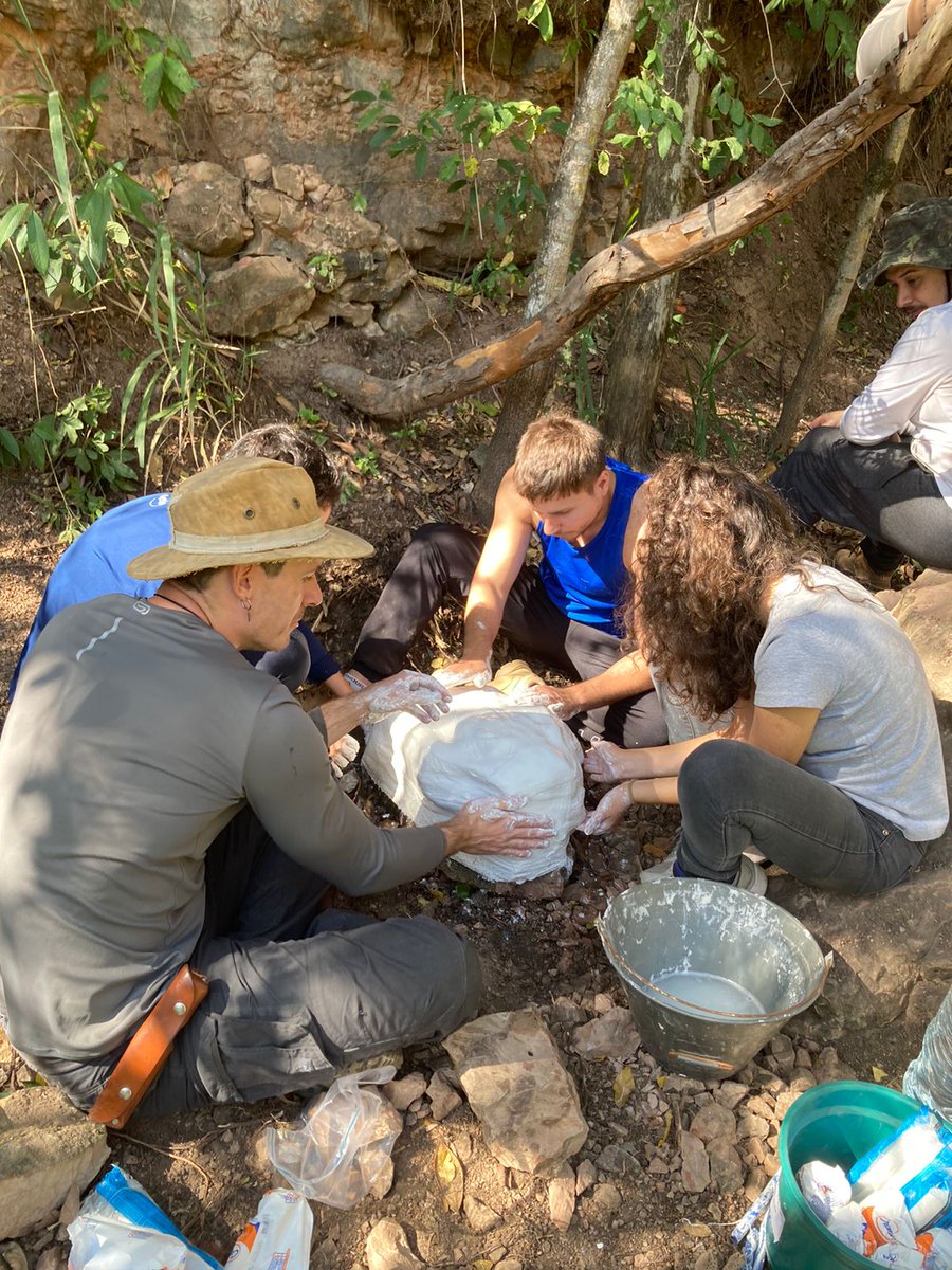 PaleoLab USP-RP tweet media