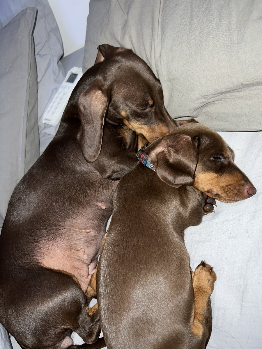 Camicantafio's tweet photo. Es que con estas cositas no puedo https://t.co/domFyBee54