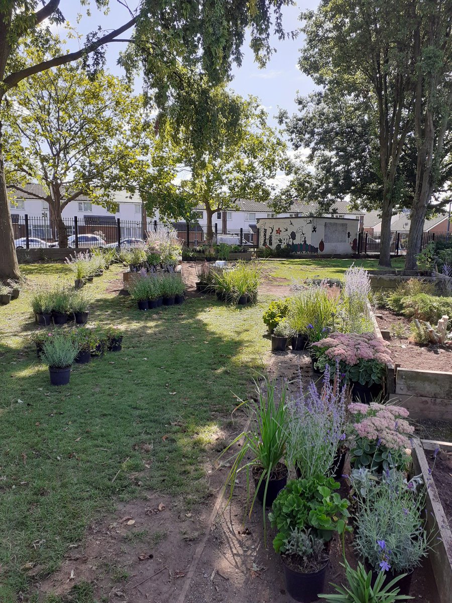 NickNatkinson's tweet image. Planting up beds today with L1/2 practical Hortskills learners @OldhamCollege  @SalfordCouncil