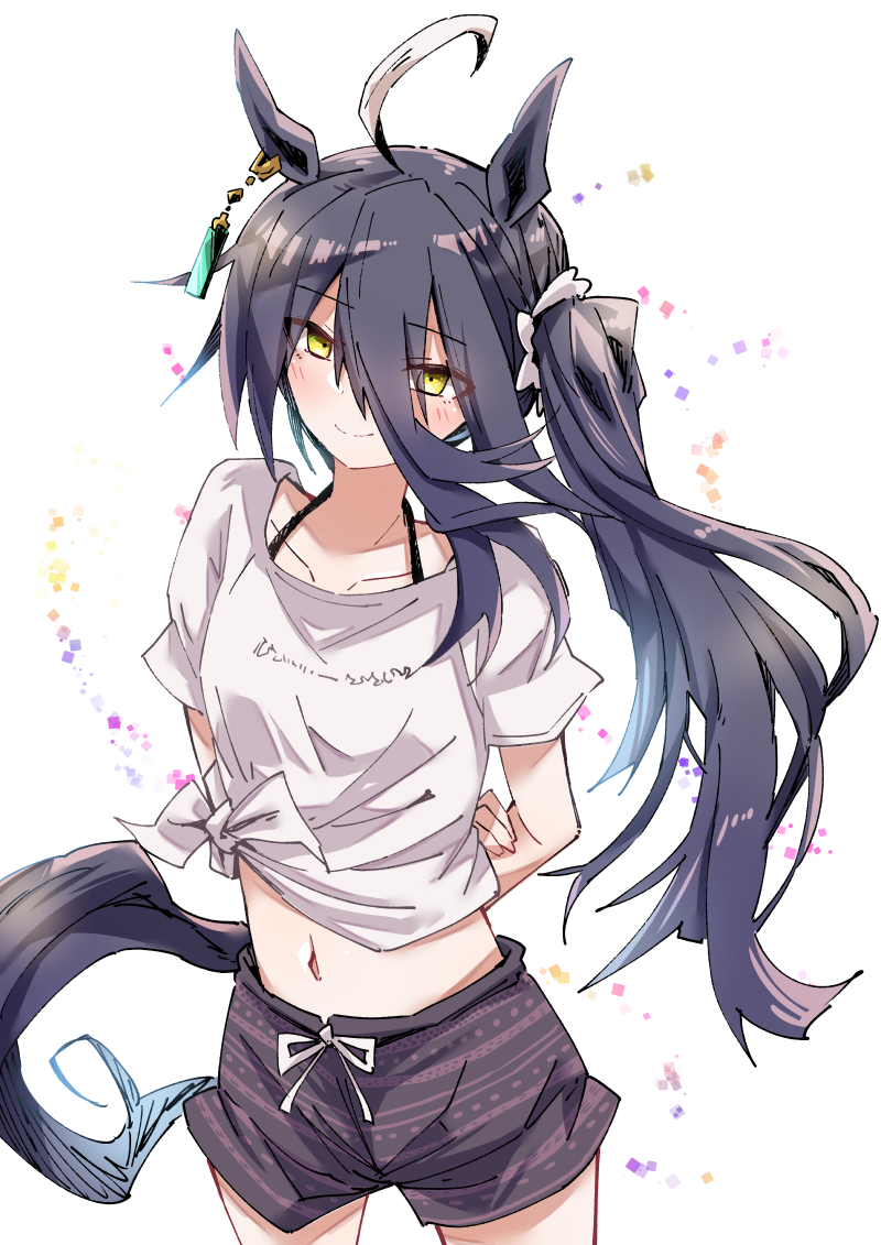 manhattan cafe (umamusume) 1girl horse ears solo animal ears tail horse tail long hair  illustration images