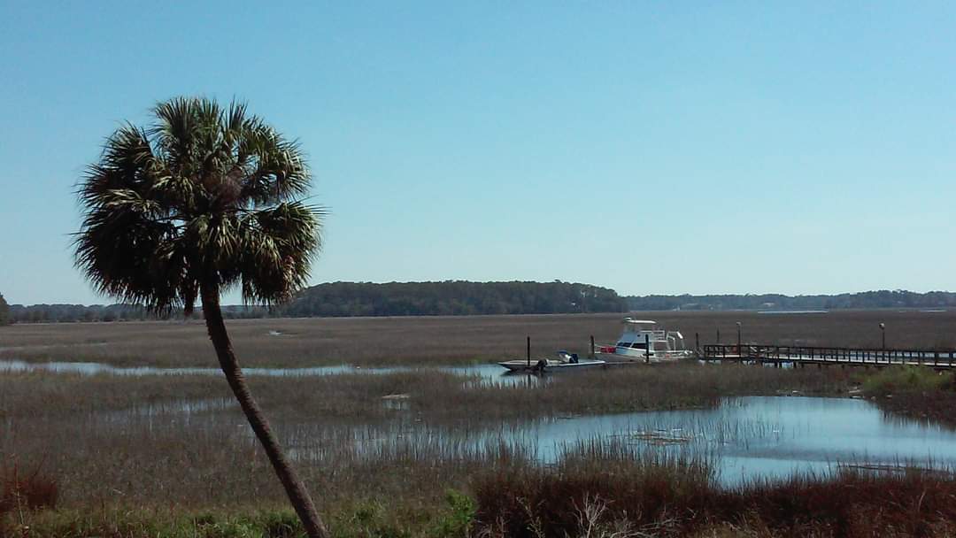 TaraCoxSSU's tweet photo. Come teach at the University by the Sea! We are looking for a quantitative ecologist at #savannahstate.

Job-id 247755

https://t.co/GoLCLIwmag https://t.co/Utz1S6f93Z