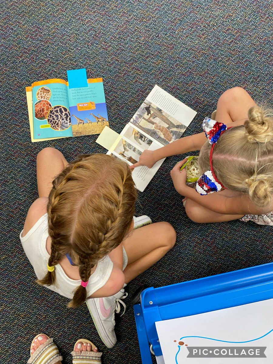 Tammy Gonzales tweet media