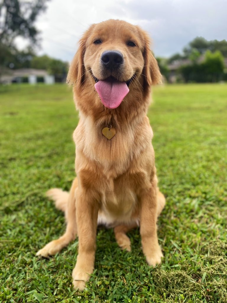 Beth Ann Nichols tweet media