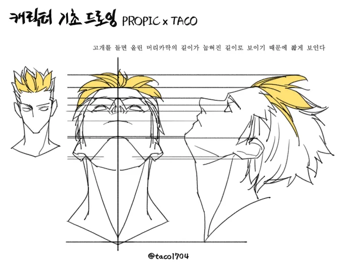 고개를 들면 올린 머리카락의 길이가 눕혀진 길이로 보이기 때문에 짧게 보인다 