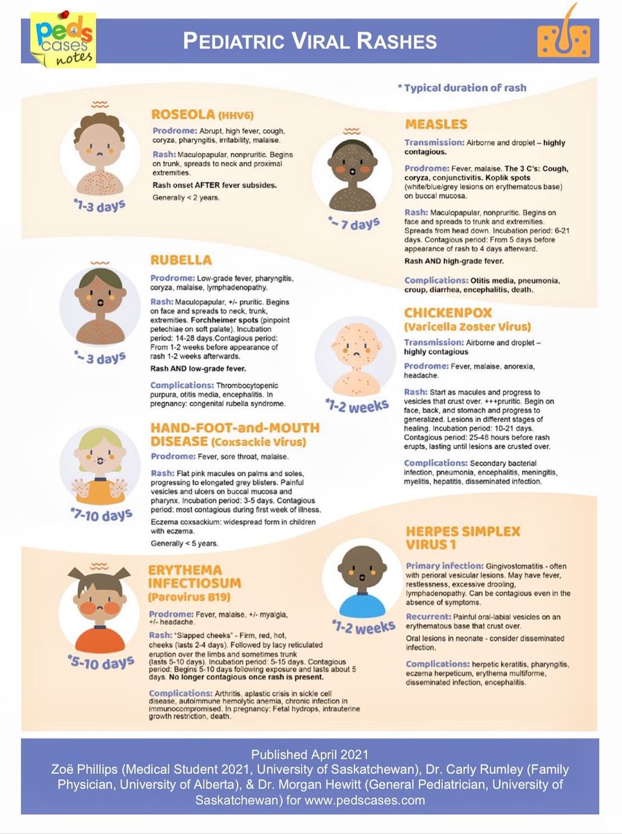 Medical_MD1's tweet photo. Child with the Rash 👶🏻

The MOST common topic in Pediatrics all in one page 🤩👌🏼

. https://t.co/225Z4YjB2R