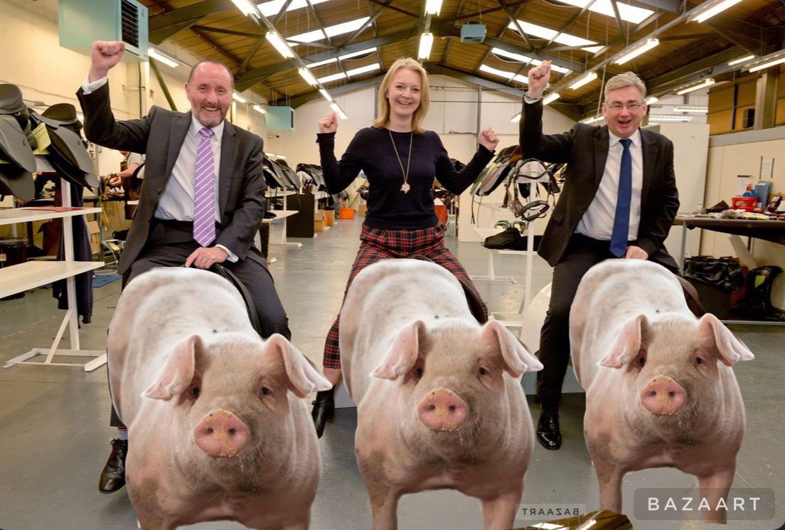 PritiNot's tweet photo. #LizzyDripping mounts #PorkMarkets with #ToryIncompetence during #ToryLeadershipFarce 😏 https://t.co/tLubFNpNpN