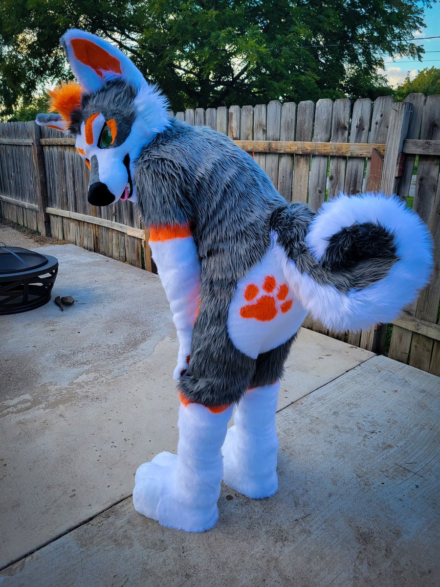 🐾 Zuki Curl @Home tweet media