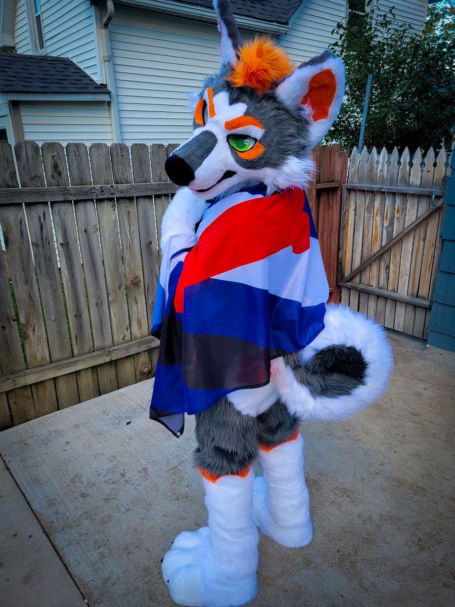 🐾 Zuki Curl @Home tweet media