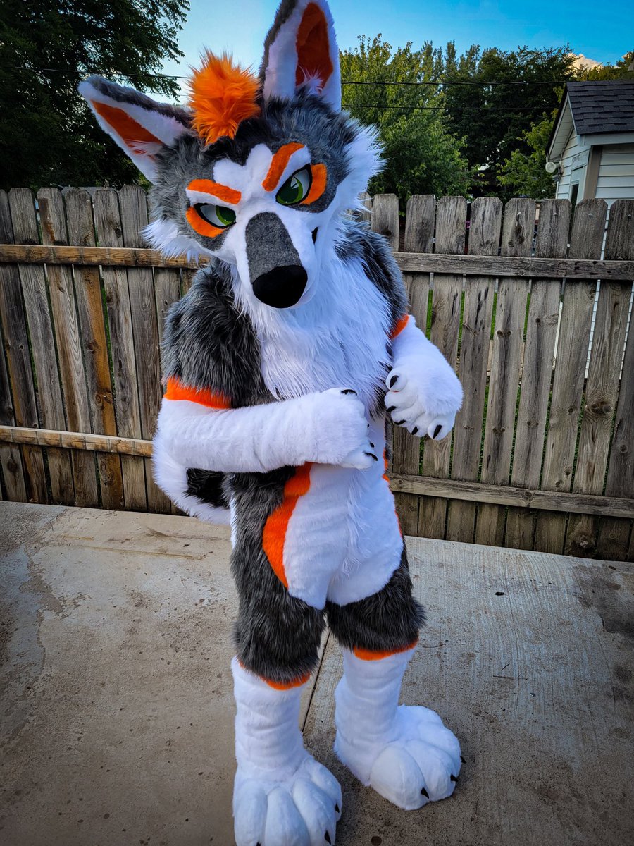 🐾 Zuki Curl @Home tweet media