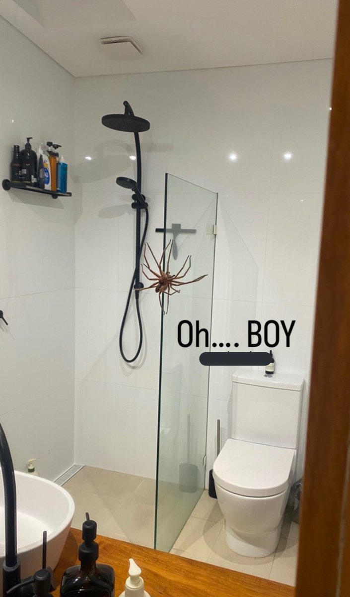 I follow this person on instagram and I had to show the world 😱