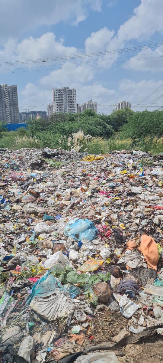 amityadav2021's tweet photo. @cmohry
@PMOIndia
@DC_Gurugram
@OfficialGMDA
@MunCorpGurugram
@OfficialGMDA
@swachbharatpnp
@DEEPAKKAHUJA
गुरुग्राम मे 1दर्जन IASअधिकारी है,13August से लगातारTwitterके माध्यम से अधिकारियो को अवगत करवा रहा हूँ परन्तु किसी ने सज्ञान नही लिया,परिणाम सबके सामने है,बेहद दुर्भाग्यपूर्ण https://t.co/gJe2bDpSzn
