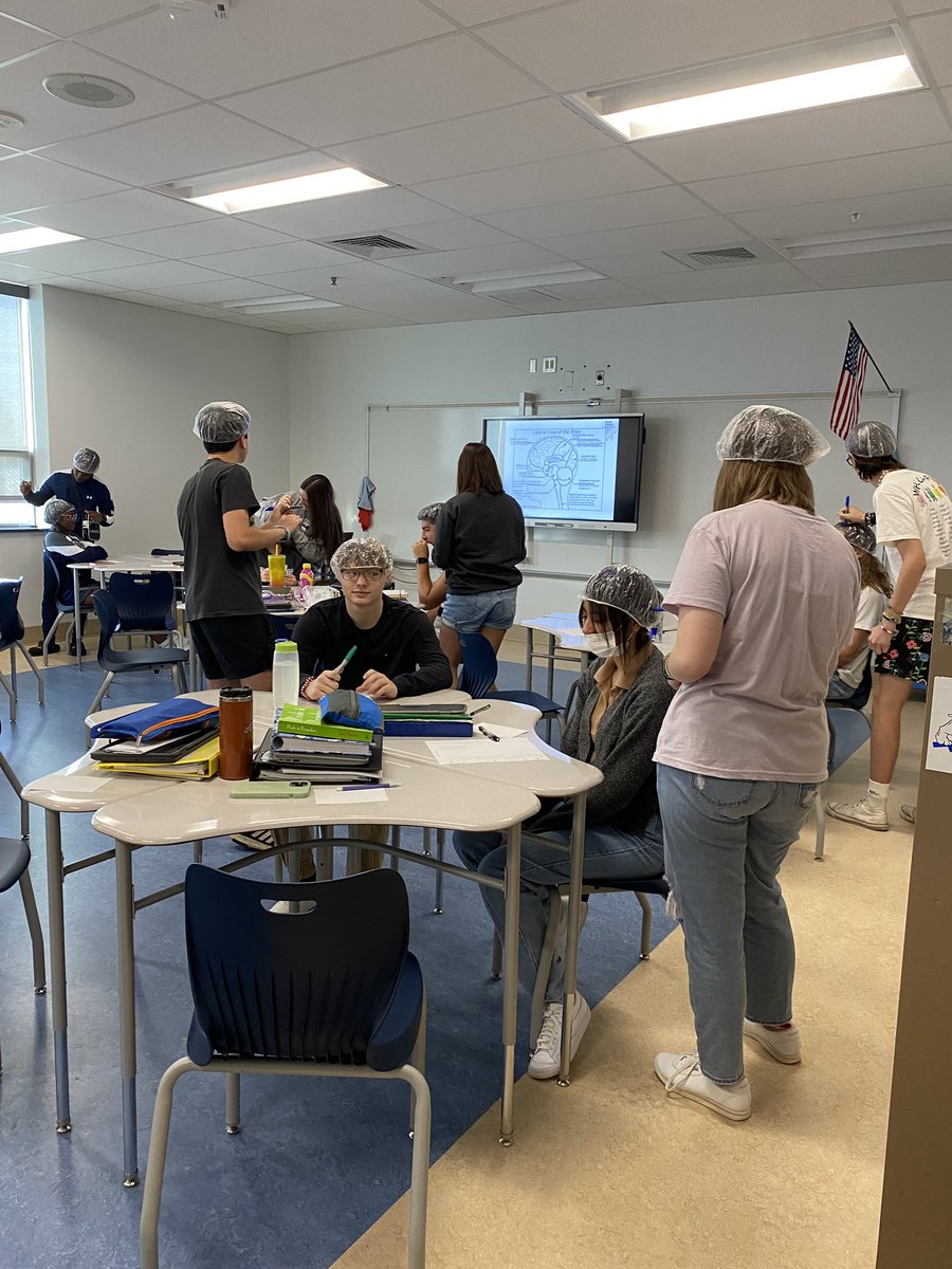 Social Psychology is labeling the brain- can you relate a song, movie or book that goes with each part? #wyahs #wyproud