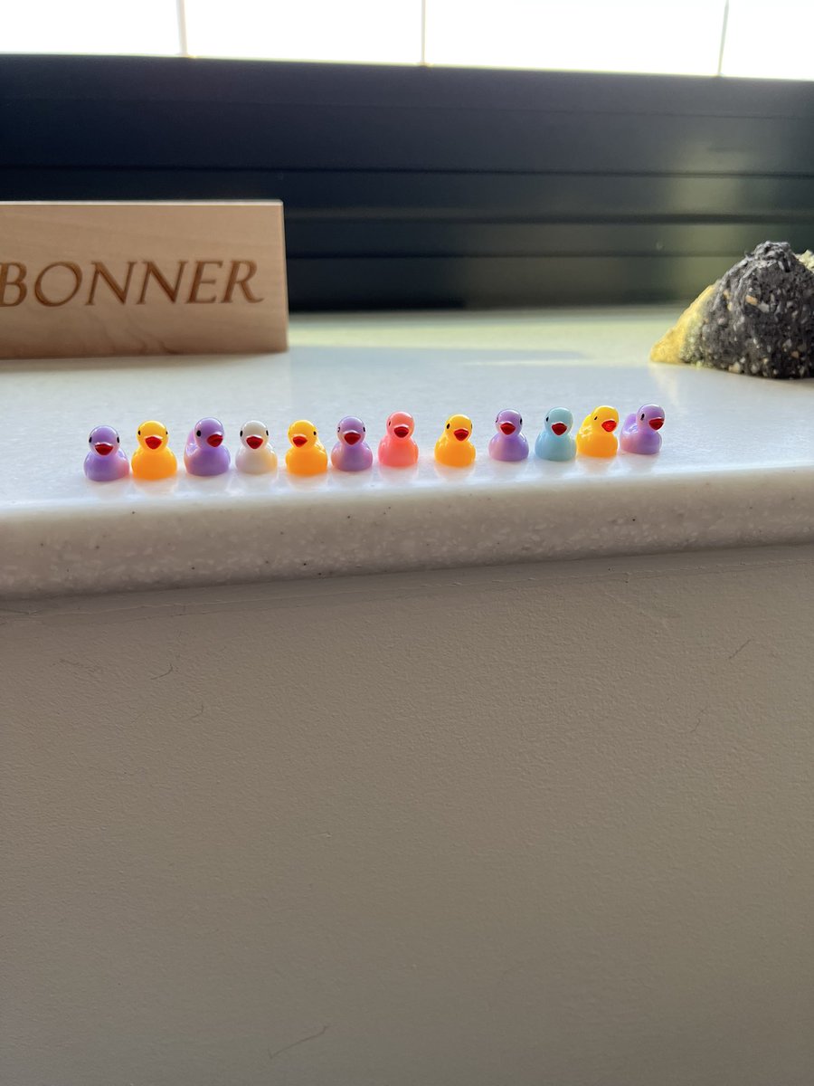 I’m not sure who is leaving these ducks around my office, but I’m building an army that won’t be stopped. Any idea @mr_kimstory ?