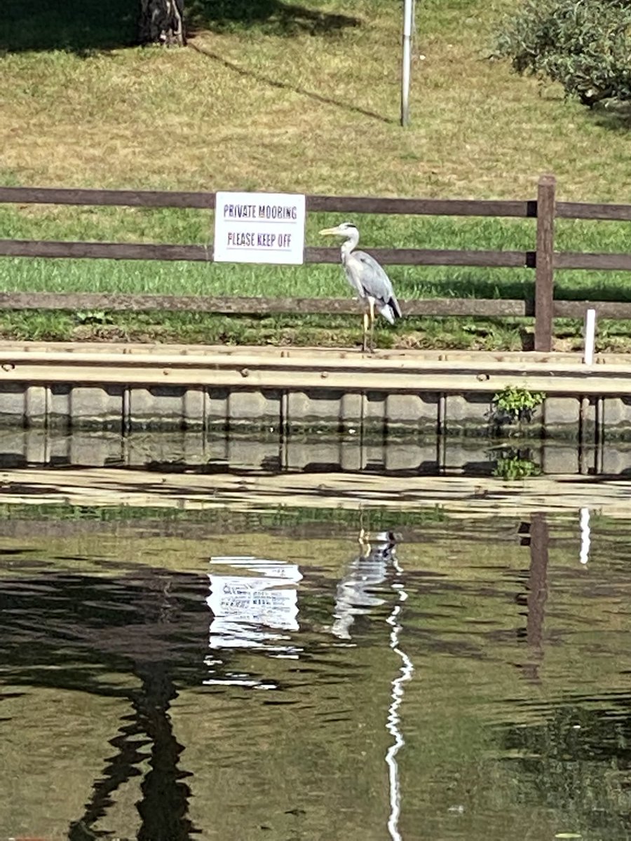 juliejones45's tweet photo. #relaxing #downtime #canal #outofoffice #nature #wildlife #timetorewind #hubbyday https://t.co/bdlbyc9oKb