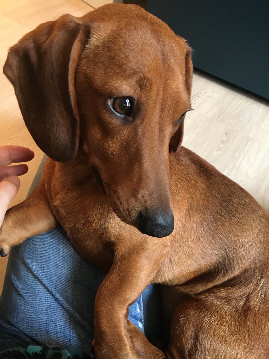 Laura Bird tweet media