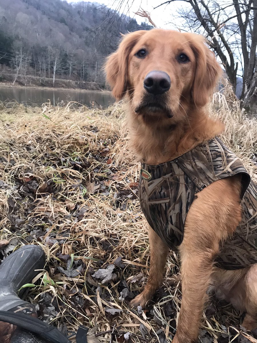 Because we all need more positive in our life…
Our dog Colt! Hopefully he makes you smile on this amazing Friday! #NotAPoliticalPost #PositiveVibes