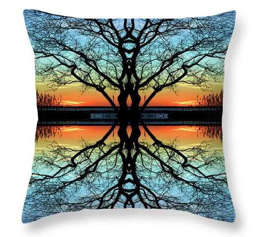 The #HomeDecor Throw-Pillow-of-the-Day is "ASSAWOMAN REFLECTIONS." #ShopEarly and #BuyIntoArt.
Shopping Link - bill.pixels.com/featured/assaw…