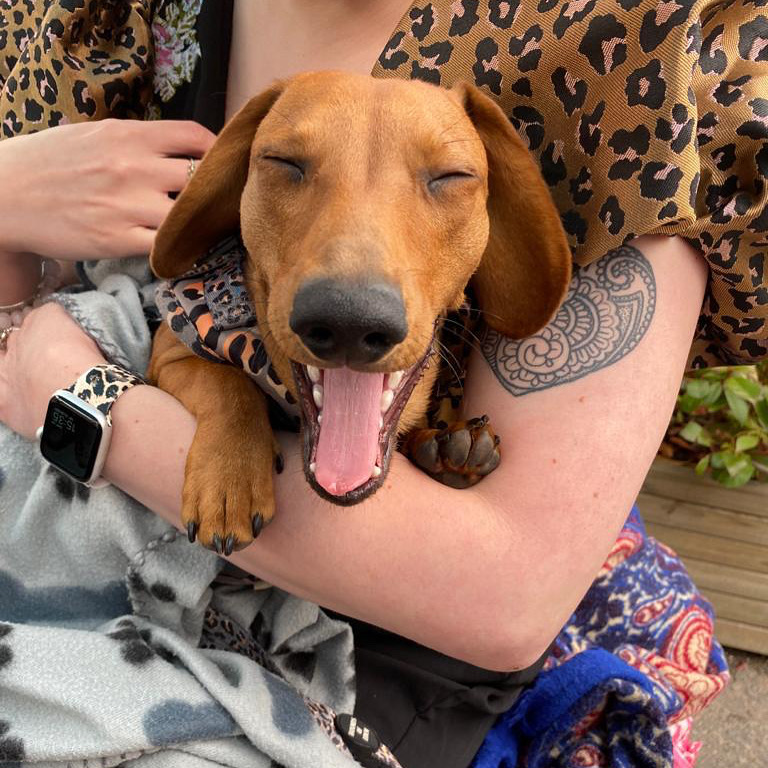 Laura Bird tweet media