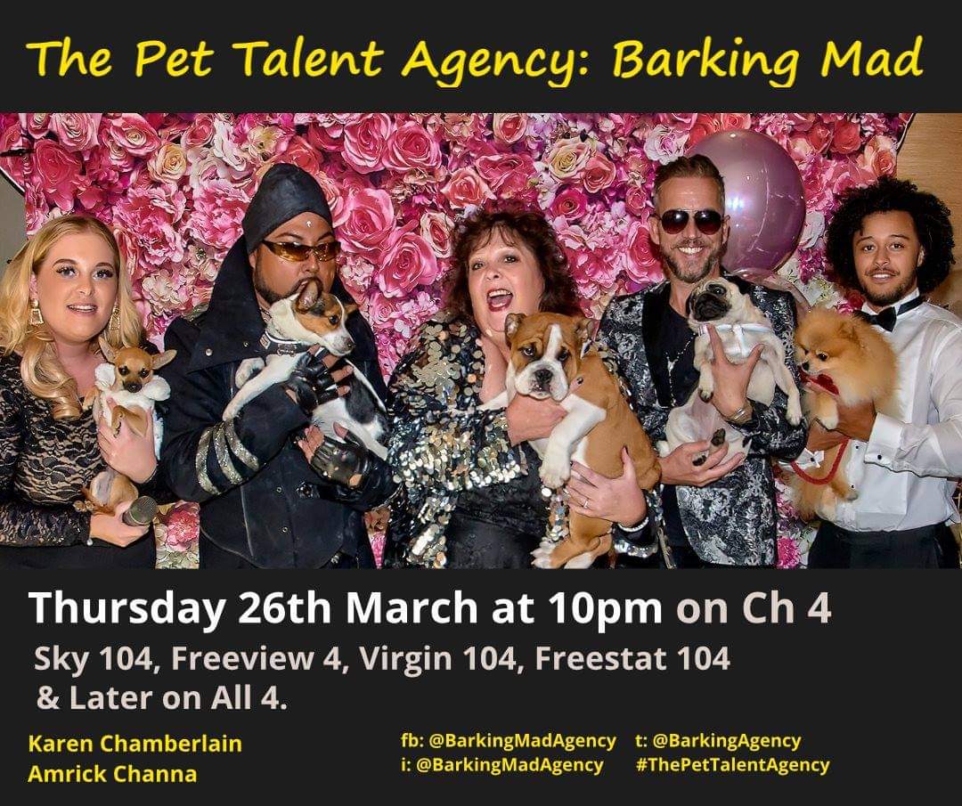 Karen Chamberlain Maverick Celebrity Bulldogs tweet media