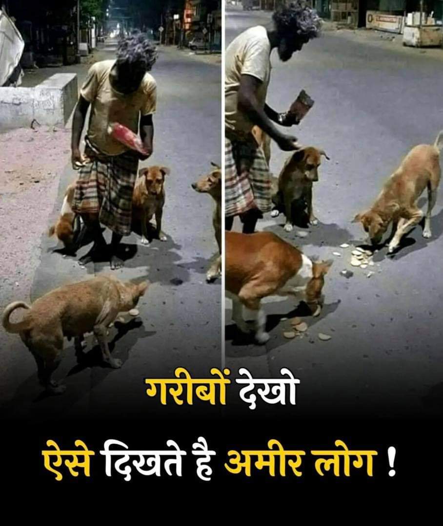 Bhatia3060's tweet photo. Happy #InternationalDogDay #Adoptdontshop #Nomore50 #Stopanimalcruelty #Justice #voiceless #Karnal हर घर से रोटी जीव जंतुओं के लिए,, जय हिन्द 🙂🇮🇳
#AnimalsLifeMatters #follow #retweet #share https://t.co/kL5kBlio5u