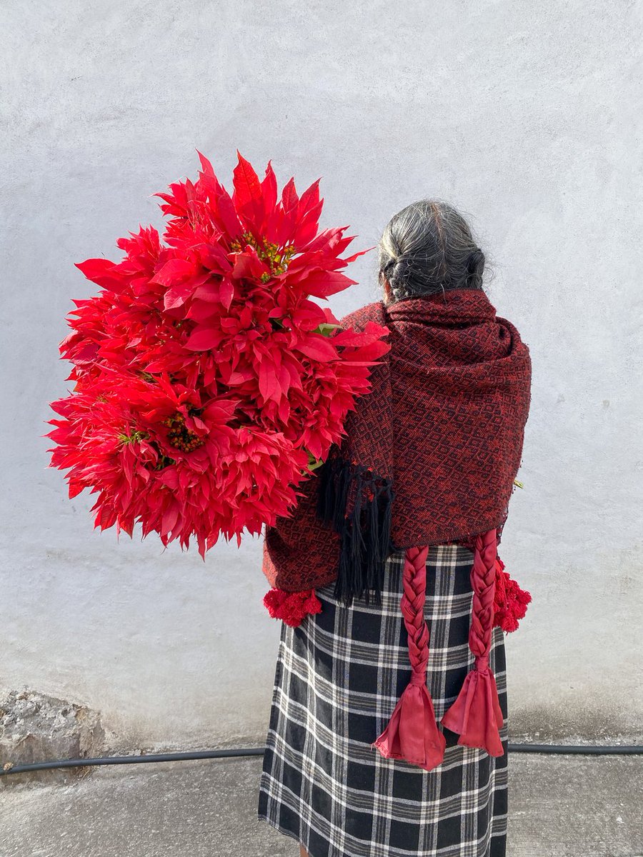 AestheticaMag's tweet photo. "The Zapotec term 'Kanitlow' is a record of people that... slowly disappear."

Luvia Lazo's subjects face away from the camera, shielded by flowers.

Part of an show @TroutMuseum on indigenous artists in America and Mexico exploring identity. Opens today: https://t.co/ndSEArxrw2 https://t.co/D2qVqgRcgX