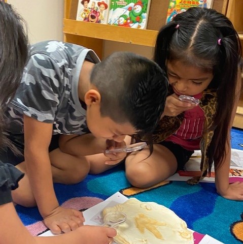 GSKUS's tweet photo. How do animals interact with the environment? If flowers bloom early, what does this mean for hummingbirds? Be a Biologist and find out! 🌿
Kids can learn at home using downloadable resources. Find out more 👉https://t.co/70qPCsXOXi
#ScienceInTheSummer @TheFranklin https://t.co/IqW6SUIU9m