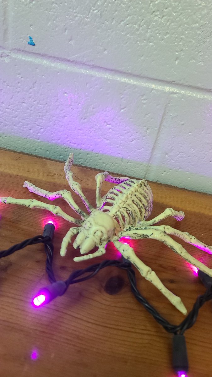 dreamydrew68's tweet photo. Anyone else get spiders and flowers .. I do 💕😊💕my students spoil me... https://t.co/gQRTCFu9JP