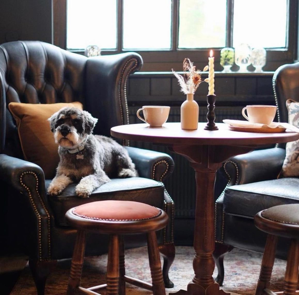 hare_hounds's tweet photo. Having “ruff” day? 🐶 
Come in and have a pint to celebrate National Dog Day! 🐾 
…. You might even find a treat for your furry friends too (good boys only of course!) 
@youngspubspeople @youngspubs #nationaldogday #goodpub #goodbeer #goodfood #woof #dogsofinsta #beer #happy https://t.co/YRQkcMRwOM