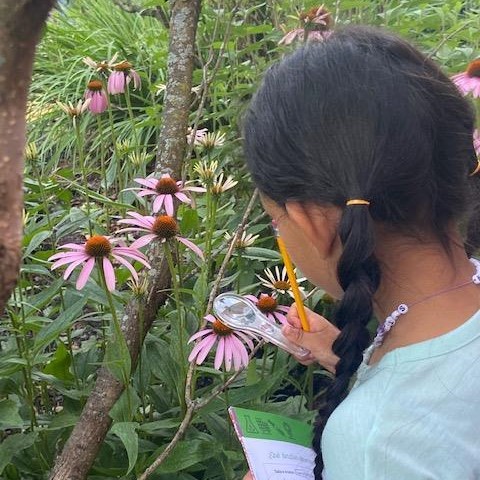 GSKUS's tweet photo. How do animals interact with the environment? If flowers bloom early, what does this mean for hummingbirds? Be a Biologist and find out! 🌿
Kids can learn at home using downloadable resources. Find out more 👉https://t.co/70qPCsXOXi
#ScienceInTheSummer @TheFranklin https://t.co/IqW6SUIU9m