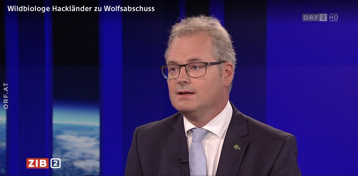 🐺Der #Wolf kehrt zurück. Unser BOKU-Wildbiologe Klaus Hackländer zu Wolfabschuss in der gestrigen ZIB2: tvthek.orf.at/profile/ZIB-2/…