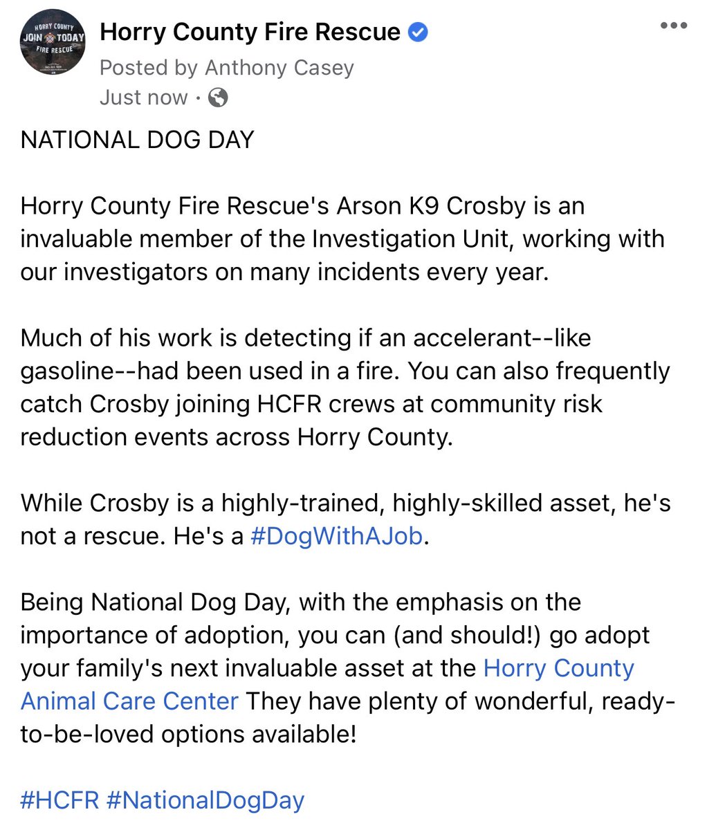 hcfirerescue's tweet photo. It’s #NationalDogDay, so here’s a little bit on #HCFR’s #DogWithAJob Arson K9 Crosby!

Hey, Horry County, Crosby recommends you go on over to @hcaccadoptions to rescue the next member of your family! https://t.co/ZVQPaxz4FY