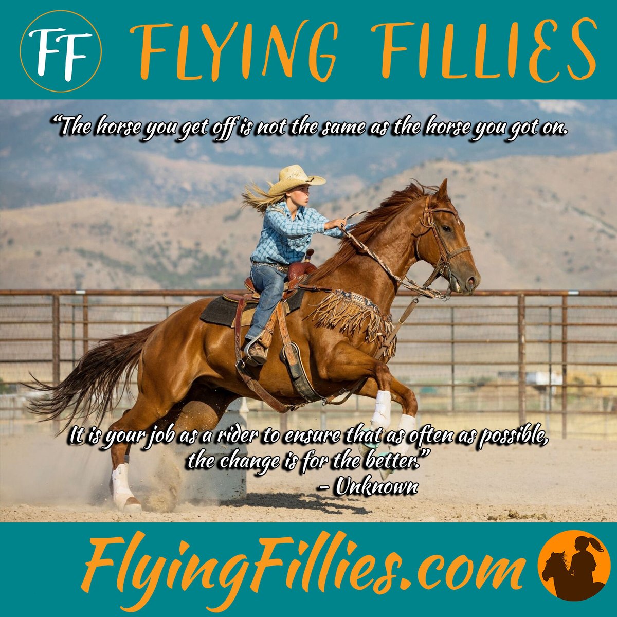 FFWasp's tweet photo. βThe horse you get off is not the same as the horse you got on. It is your job as a rider to ensure that as often as possible, the change is for the better.β β Unknown
#horses #horsebackriding #horsequotes #equine #equestrianlife #horselovers #fillies #stallions https://t.co/i0HHqqvURE