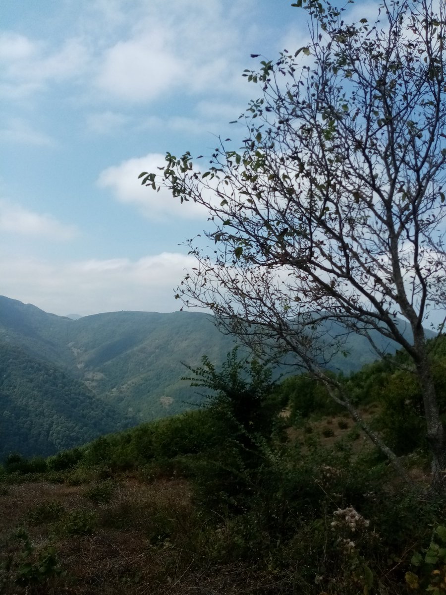 ismimdamla's tweet photo. @tedaselectricas Kastamonu Doğanyurt <3 https://t.co/UVLAVc0JUp