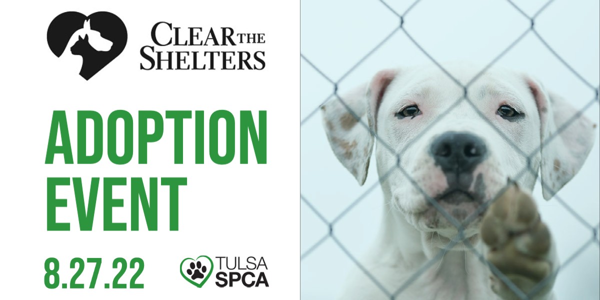 Tulsa_SPCA's tweet photo. Get pre-approved for our #ClearTheShelters Adoption Day at https://t.co/5AADwkvr1p. Pre-approval gets you early entrance at 8am. Can't be here at 8am? A special line for pre-approved guests will be available. Deadline to apply is 10am. #tulsaspca #adoptdontshop https://t.co/watg7ffMwm