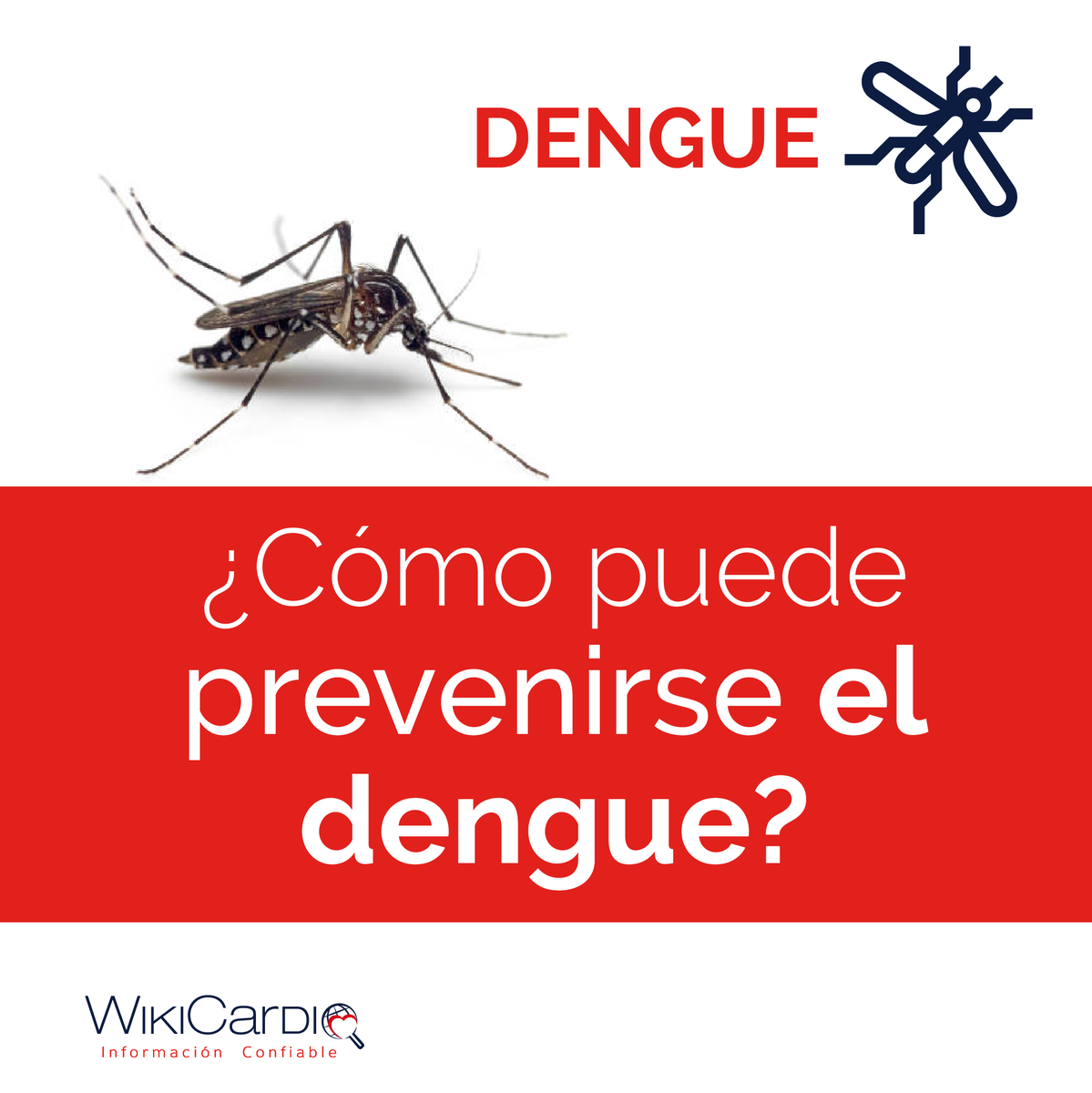 Wiki_Cardio's tweet photo. ¿Como puede prevenirse el dengue? https://t.co/5GkHeRPbab