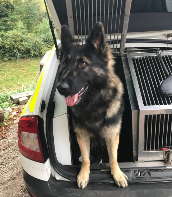 CambsCops tweet picture