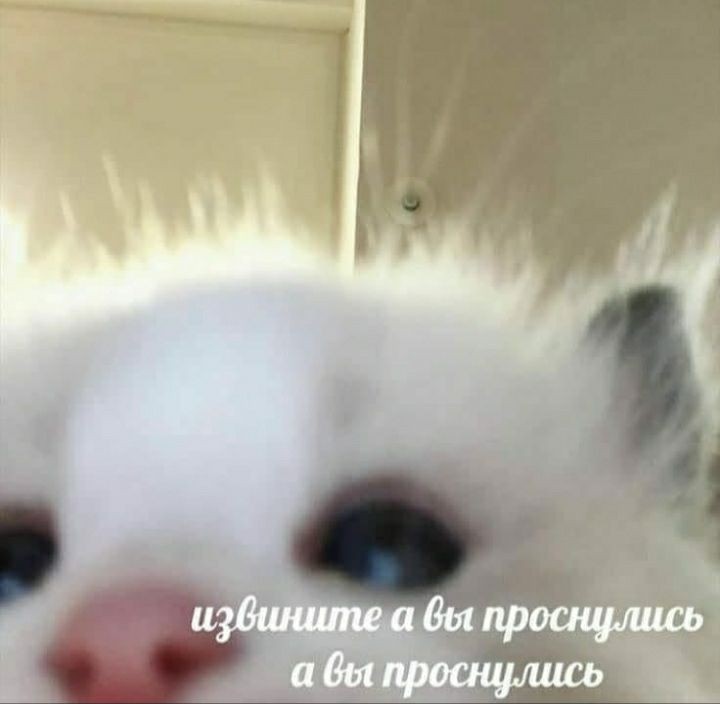 Kim_pomogi's tweet photo. научите, пожалуйста, нормально ходить на работу. я то жёстко опаздываю, то прихожу за 3 года https://t.co/jehdfoQrkb