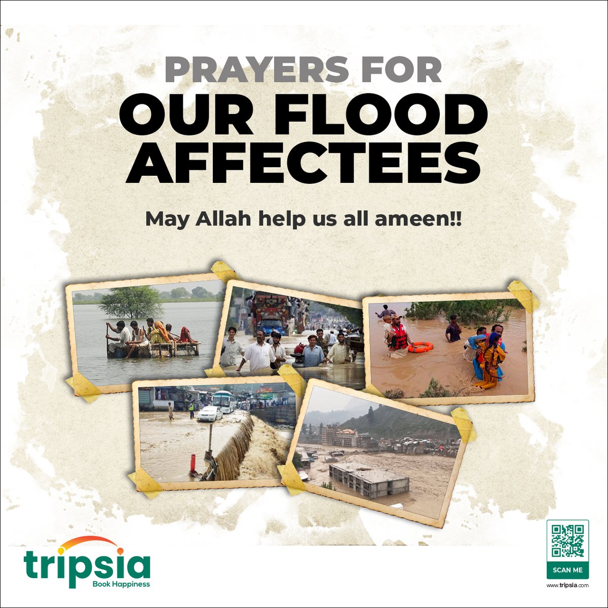 TripsiaOfficial's tweet photo. https://t.co/Ho5d2qqCPT