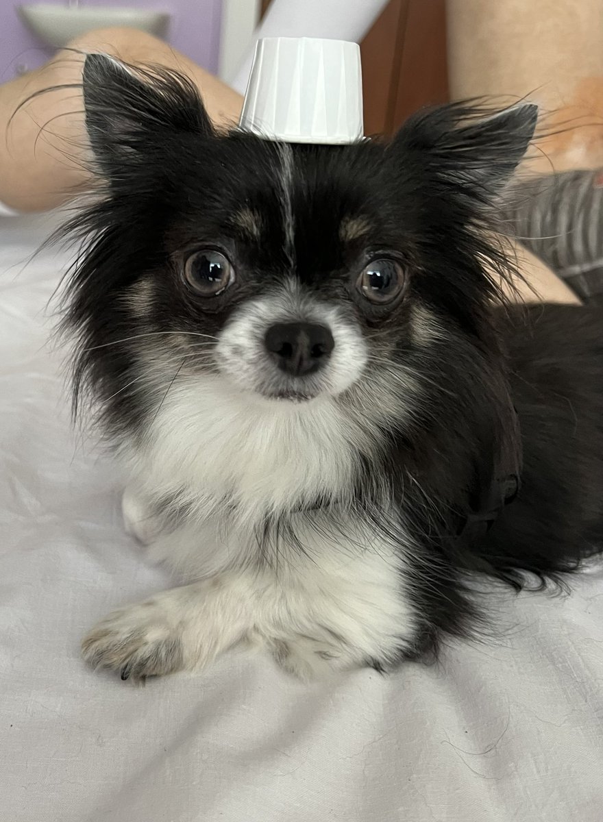 Hooley-Family-Memories tweet media