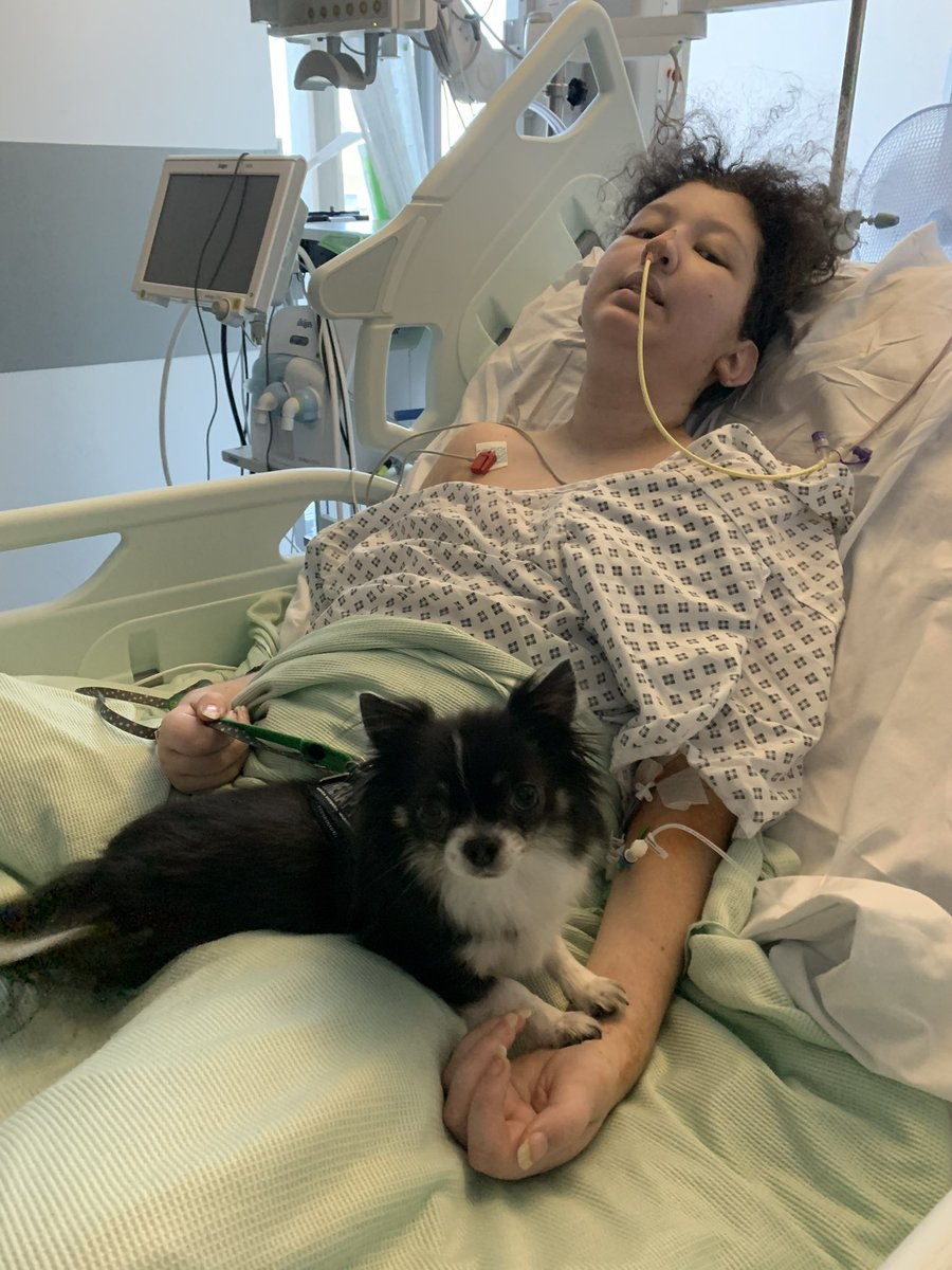 Hooley-Family-Memories tweet media