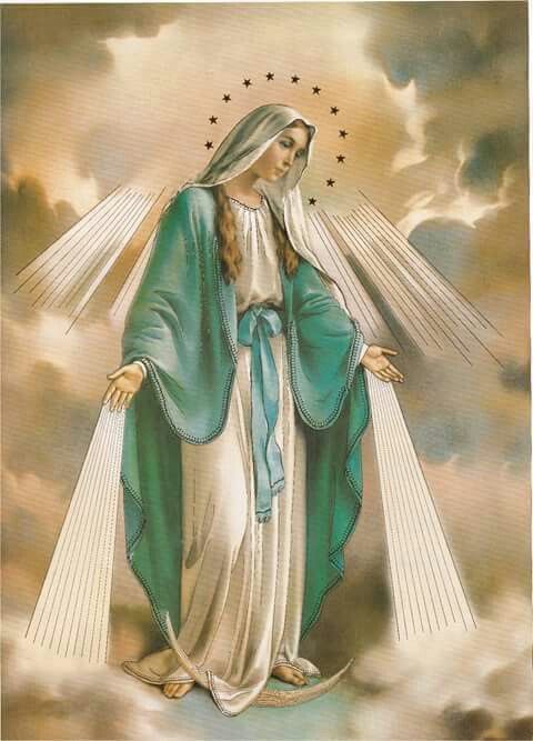 SeekWhyTheyLeft's tweet photo. Queen of Heaven, pray for us! https://t.co/igX63yw0QL