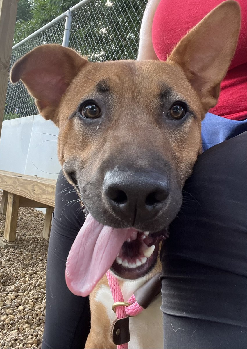 Laura Encalade tweet media