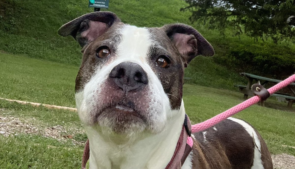 Laura Encalade tweet media