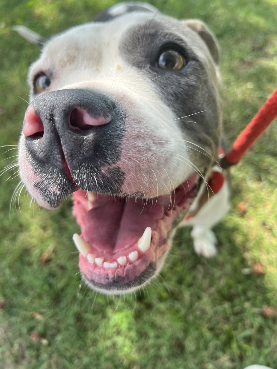 Laura Encalade tweet media