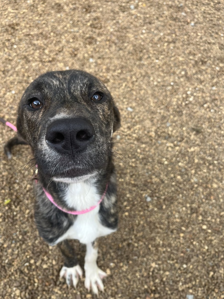 Laura Encalade tweet media