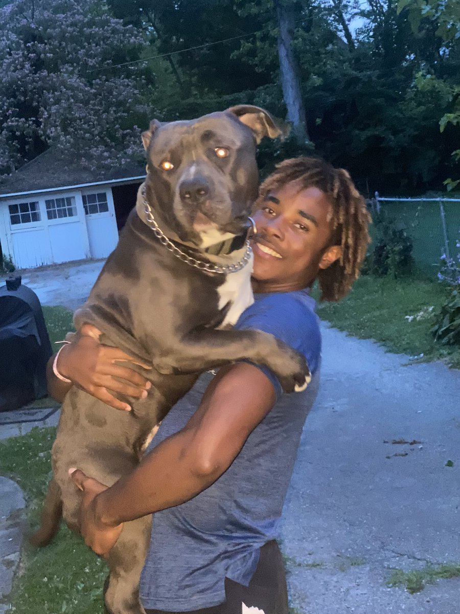 misses_madcune's tweet photo. My son carried our pit bull Jaws around like this since he was a puppy! 

All grown up Jaws still jumps up for a hug and to be carried around! 💙
@AlexHolleyFOX29 @MikeFOX29 

#fox29goodday #bestfriends #nationaldogday2022 https://t.co/brTuvcDsBB