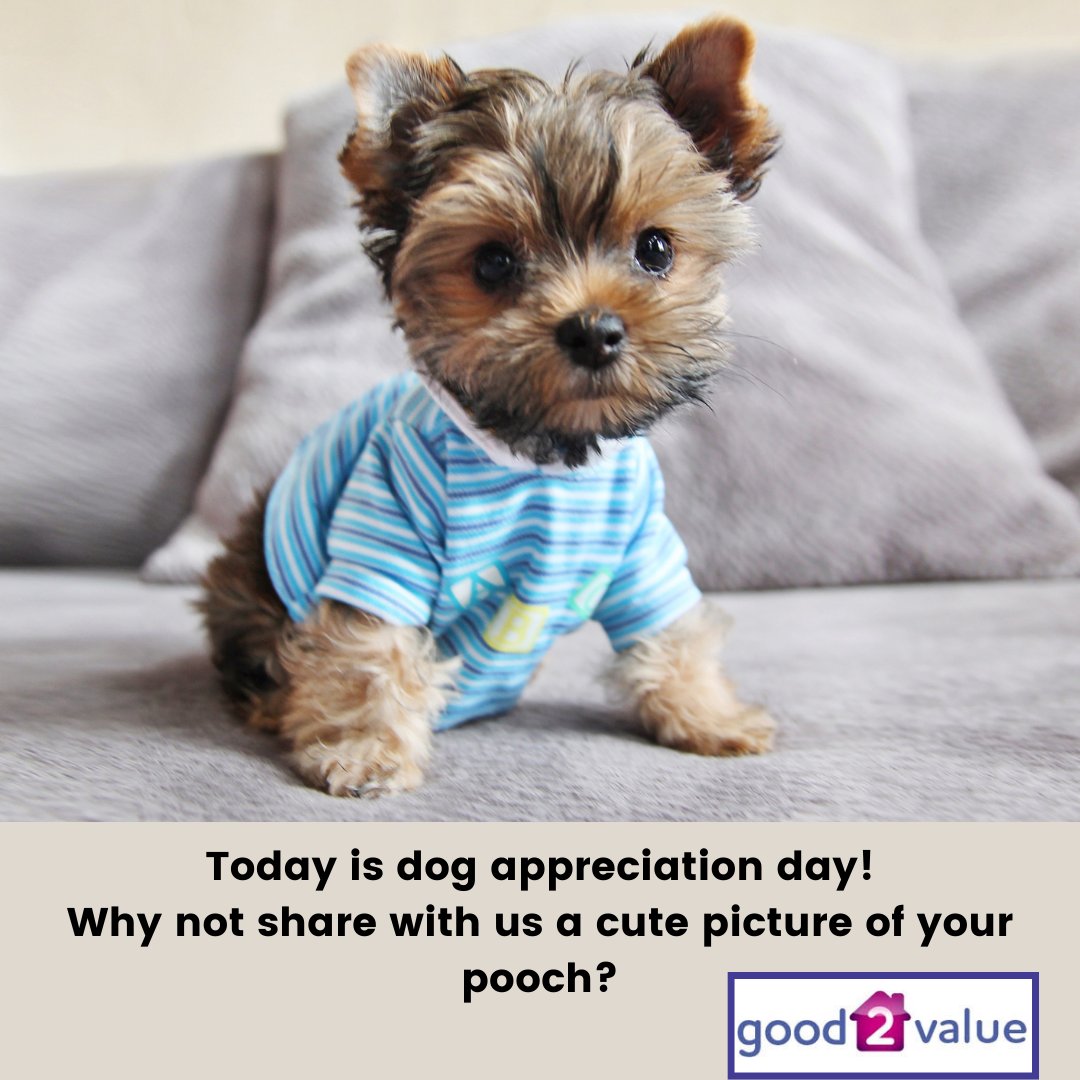 good2value's tweet image. One tool for Estate Agents that has everything you need to get the sale!
good2value.co.uk
#leadgeneration #estateagent #valuationtool #ultimateleadgenerator