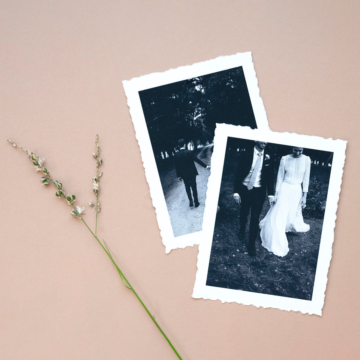 Pic-Time’s worldwide print lab network is growing! We’re happy to announce our newest partner <a href="/Pikto/">Pikto</a>

Based in Canada 🇨🇦 with local and US shipping, Pikto offers a beautiful variety of products, using responsibly sourced materials.

Learn More: blog.pic-time.com/blog/pikto